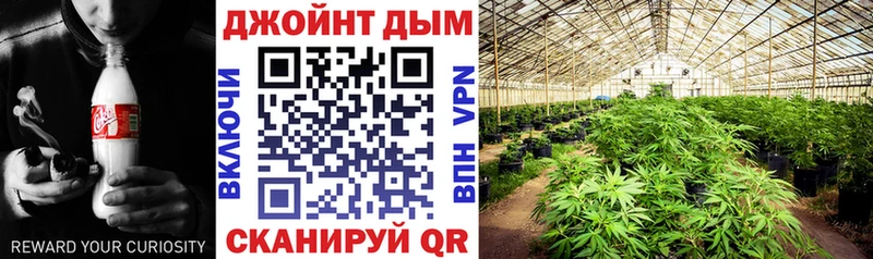 Купить закладки  Кунгур  Каннабис семена 